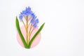 Frame border made with snowdrop flower on white background Royalty Free Stock Photo