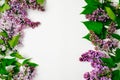 Frame border of purple lilac flowers on white background. Flat lay floral composition, top view, overhead. Spring background,