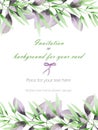 Frame border, template postcard with the tender green and purple branches, hand drawn in a watercolor on a white background, greet Royalty Free Stock Photo