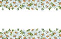 Frame border top bottom daisies watercolor Royalty Free Stock Photo