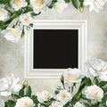 Frame and borders of white roses on a beautiful vintage background