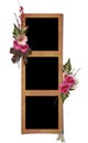 The frame with a bouquet of flowers hollyhocks. Royalty Free Stock Photo