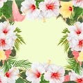 Frame bouquet with tropical flowers floral arrangement, with pink yellow and white hibiscus and Brugmansia palm,philodendron Royalty Free Stock Photo