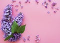 Frame of branches and flowers of lilac Royalty Free Stock Photo
