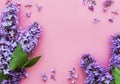 Frame of branches and flowers of lilac Royalty Free Stock Photo