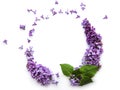 Frame of branches and flowers of lilac in the shape of a cicle Royalty Free Stock Photo