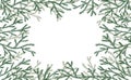 Frame, branches of spruce tree in hand drawn style on white background. Vector illustration