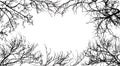 Frame from branches tree, silhouette of branches different trees. Vector illustration. Applied clipping mask