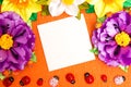 Frame of bright artificial flowers and ladybirds - a multi-colored, background Royalty Free Stock Photo