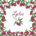 Frame with bright pink ripe lychee berries on a branch with green leaves on a white background. Inscription. Watercolor