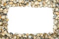 Frame, buillt from seashells, white background Royalty Free Stock Photo