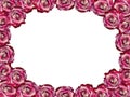 Frame of burgundy roses. Transparent background.