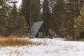 A-Frame Cabin in Forest Area