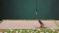 In Frame, Cat Is Lured To Scratching Post With Toy With Feathers. Oriental Cat Sniffing Cardboard Scratching Post.