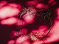 Frame. Chaotically tangled threads. Embroidery threads randomly woven. Knot. Extreme macro. Beautiful story for intro. Title