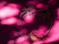 Frame. Chaotically tangled threads. Embroidery threads randomly woven. Knot. Extreme macro. Beautiful story for intro. Title