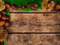 Frame of chestnuts, leaves and chestnut bur. Royalty Free Stock Photo