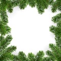 Frame of Christmas tree branches and empty center