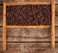Frame with coffee beans and celyon cinnamon Royalty Free Stock Photo