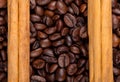 Frame with coffee beans and celyon cinnamon Royalty Free Stock Photo