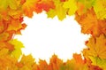 Frame with colored autumn maple leaves - white Royalty Free Stock Photo