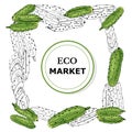 Frame of colored and monochrome hand drawn cucumbers. Temlate for design banner, menu, tag.