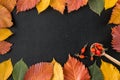 Frame composed of autumn leaves over black Royalty Free Stock Photo
