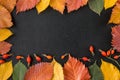 Frame composed of autumn leaves over black Royalty Free Stock Photo