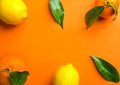 Frame composition from fresh raw citrus fruits oranges lemons tangerines on branch with green leaves. Healthy lifestyle vitamins