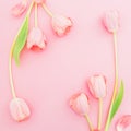 Frame composition of tulips flowers on pink background. Flat lay, top view. Spring time background. Royalty Free Stock Photo