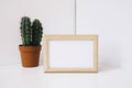 frame corner cactus. High quality photo