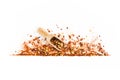 Frame of crushed red cayenne pepper, red papper paprica, dried chili flakes, seeds and wooden scoop isolated on a white