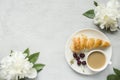 Frame custard cakes cherry flowers peony tea Cup. Copy space, Royalty Free Stock Photo