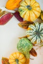 Frame of decorative autumn pumpkins Royalty Free Stock Photo