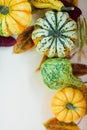 Frame of decorative autumn pumpkins Royalty Free Stock Photo