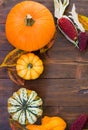 Frame of decorative autumn pumpkins Royalty Free Stock Photo