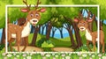 Frame design with cute deers in the forest