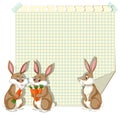 Frame design template with three bunnies