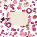 Frame with dried flowers old paper isolated on white backgroun Royalty Free Stock Photo