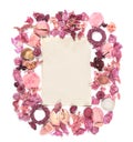 Frame with dried flowers old paper isolated on white backgroun Royalty Free Stock Photo