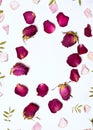 Frame of dried red roses, rose petals and leaves in form of circle on white background. Royalty Free Stock Photo