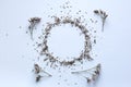 frame of dried statice flowers on a white background.