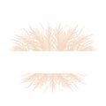 Frame with dry pampas grass. Border with beige cortaderia in boho style. Vector dried flowers isolated on white