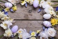 Frame from Easter eggs and colorful spring narcissus and mus