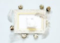 Frame with easter eggs,rabbit  and feathers. Royalty Free Stock Photo
