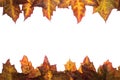 Frame of fallen leaves with place for your text