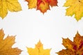 Frame of fallen leaves with place for your text