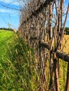 A frame fence separates the track from the wheat field Royalty Free Stock Photo