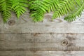 Frame from fern leaves on old unpainted wooden background with c