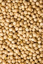 Chick peas Royalty Free Stock Photo